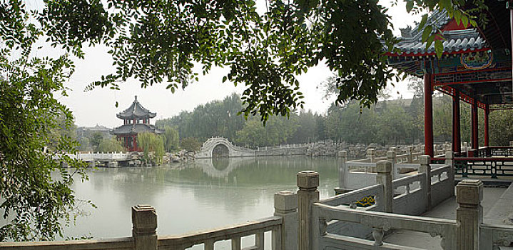 thong ke lo gan