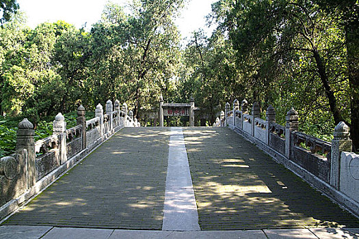 soi cầu miền nam ngày mai