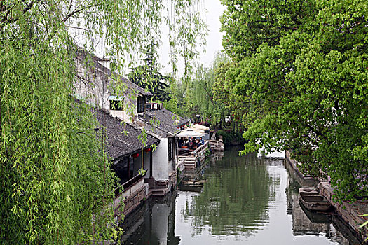 soi cau bach thu khung 3 ngay