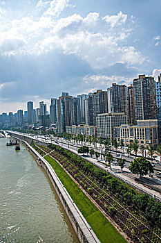 soi cau mien bắc