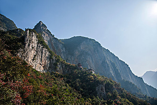 soi cau dac biet 368