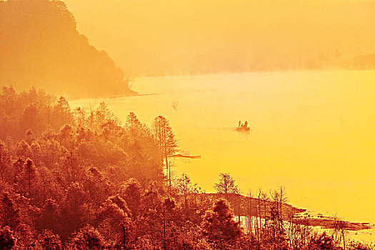 số đề hôm nay