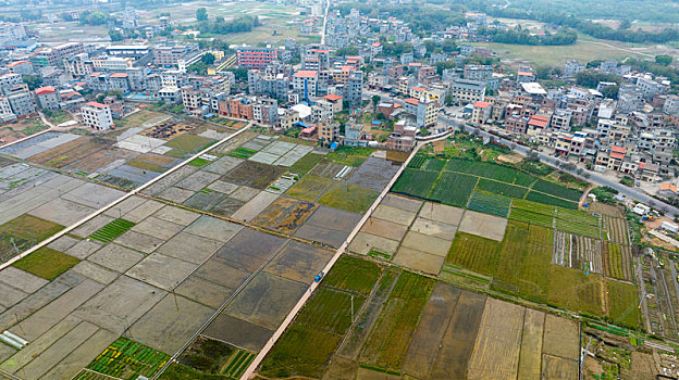 soi cầu lo