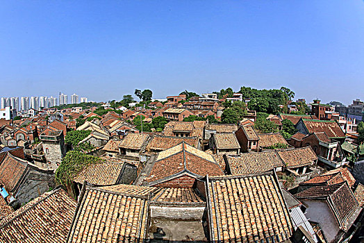 soi cau 99 hom nay
