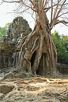 cầu bạch thủ long an