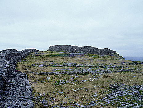 cau lo de