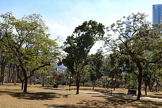 soi lô bạch thủ