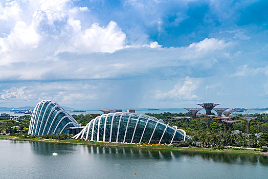 soi cau lô bạch thủ
