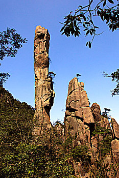 kqxs rong bach kim