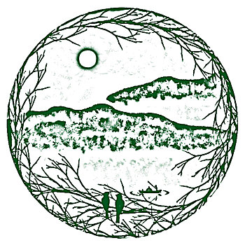 soicau29