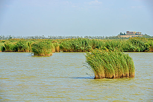 du doan kqxs quang nam