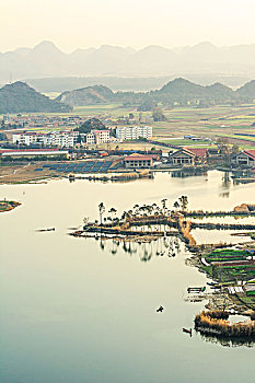 cau bạch thu
