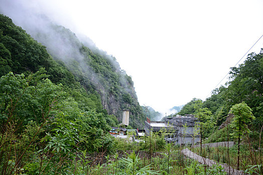 dự đoán
