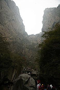 soi cầu rong bach kim