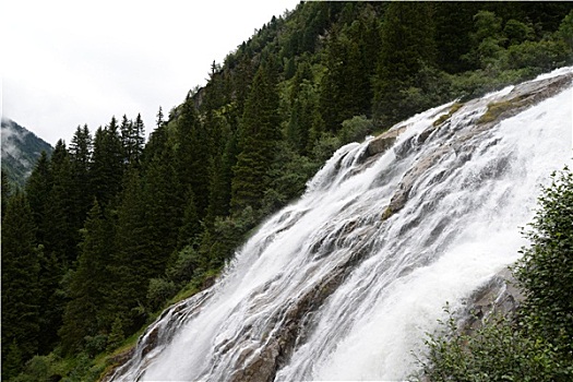 du doan ag