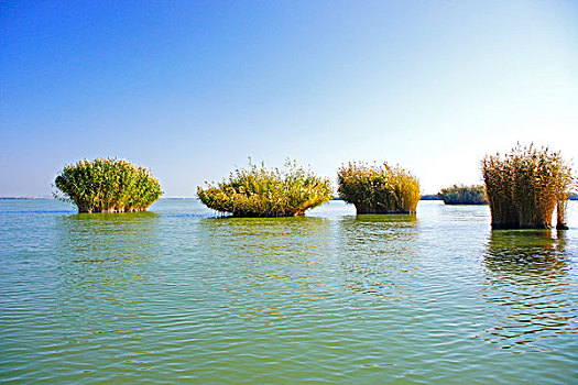 xsmb trực tiếp