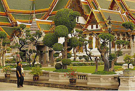 cau soi888