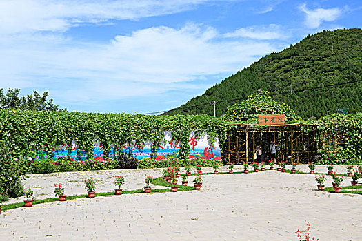 kqxs ha noi
