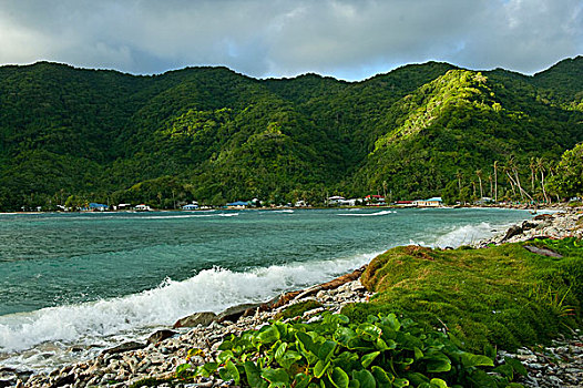 soicau bachthu