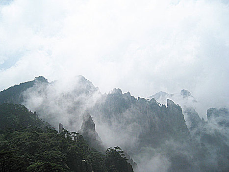 soi cau bach thu binh dinh