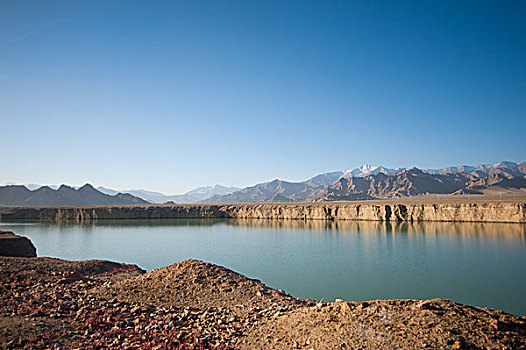 bachthu mienbac