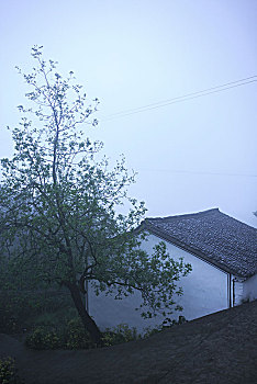 lo kep bach thu khung 3 ngay