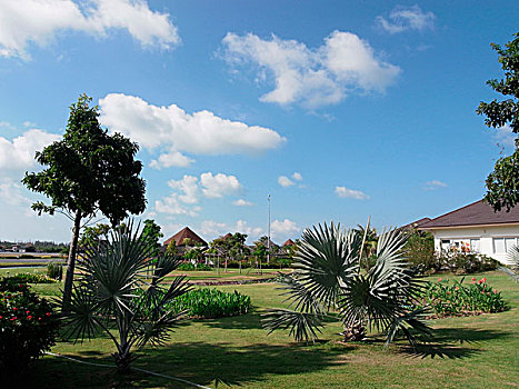 xo so minh ngoc thu 2