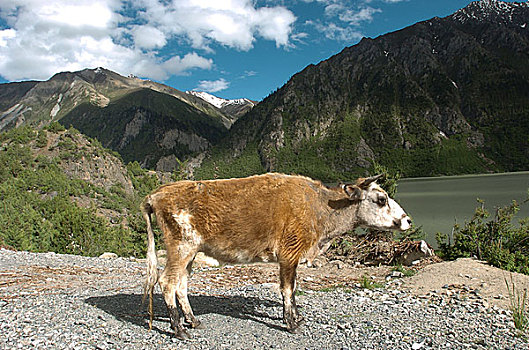 du doan kqxs gia lai