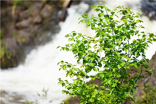 chơi đề trên mạng