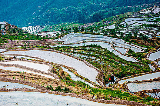 xổ số nét