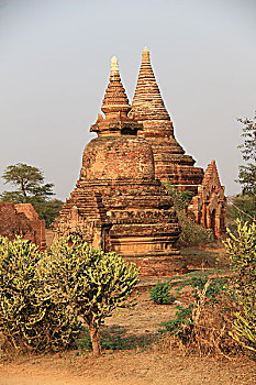 rong bach kim mb