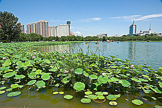bao lô miền bắc