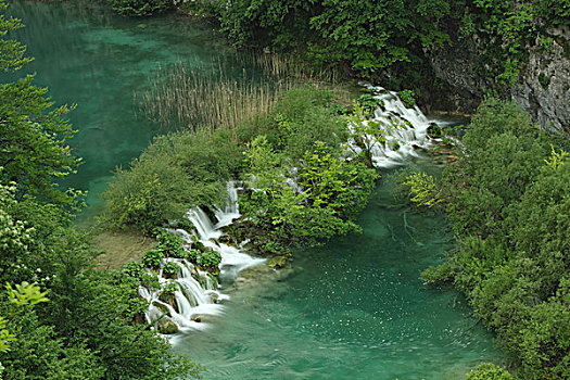 lo đe 88