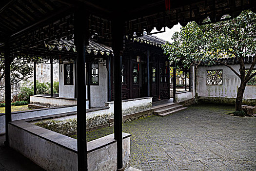 soi cau bach thu xsmb hom nay