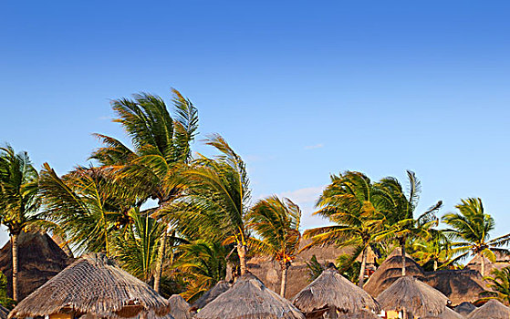 chốt lô