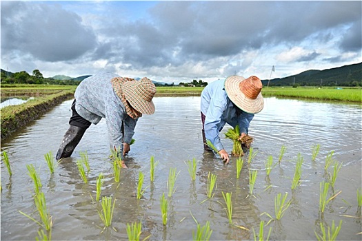 soi lô kép miễn phí