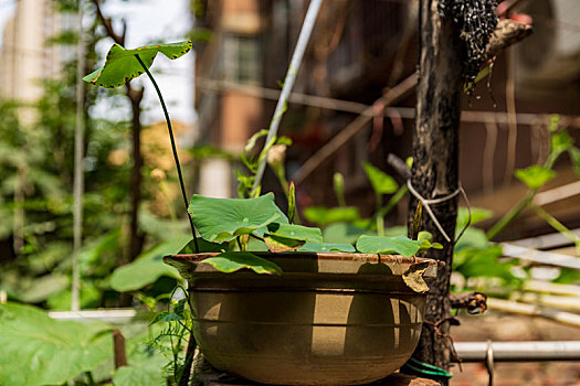 các kiểu đánh lô đề
