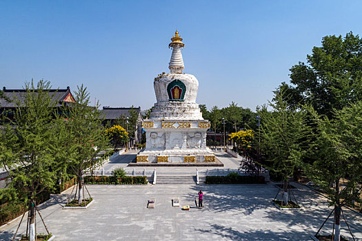 soi cau nhanh
