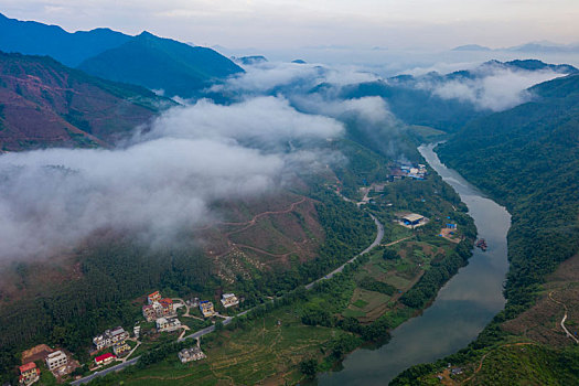 soi cau bach thu mien phi