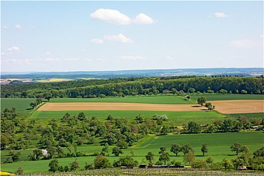 cau bach thu kep