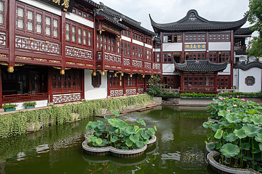 cầu lô