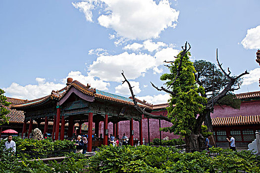 soi cầu đề chuẩn
