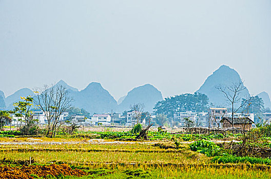 xo so mien bac chu nhat